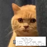 没点体重压得住我的美貌吗？-21.jpg