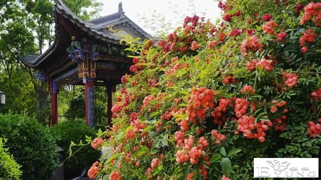 @你，秋天的第一波古风大片，请查收-5.jpg