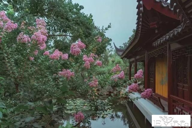@你，秋天的第一波古风大片，请查收-35.jpg