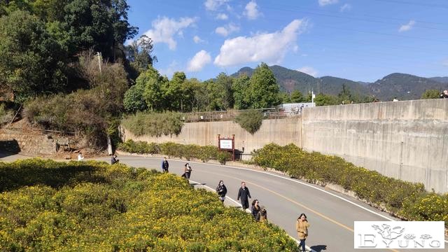 滇行记2022（七）：茶马花街风情-1.jpg