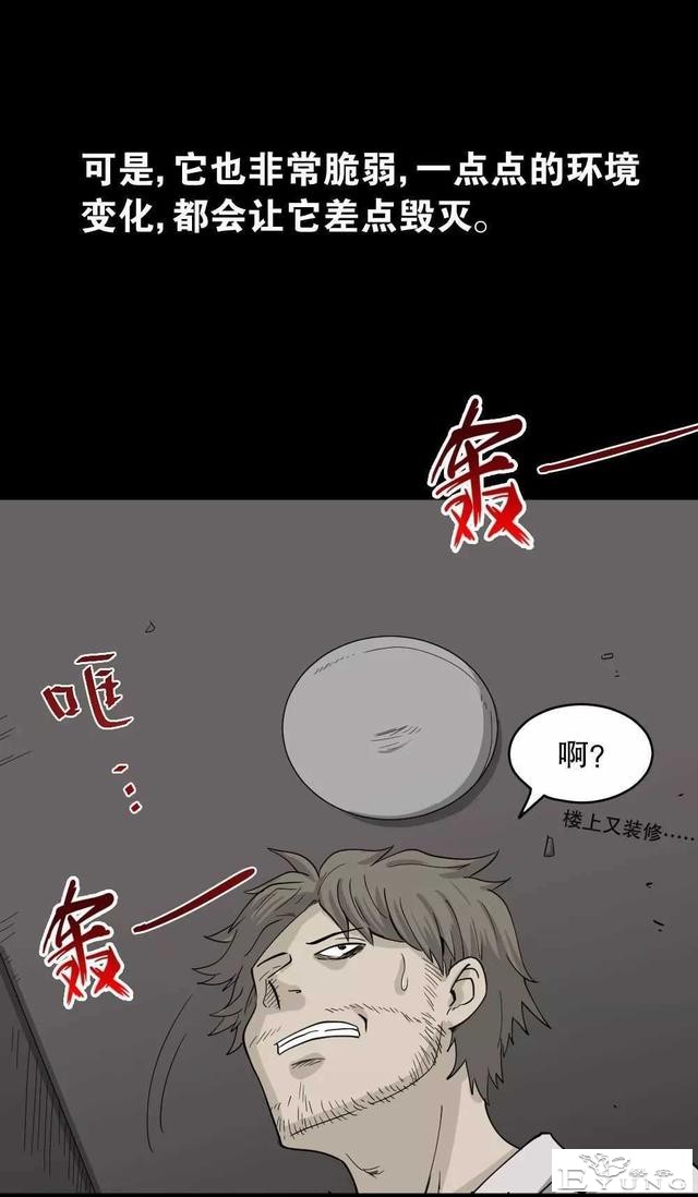 短篇漫画（微观世界）-49.jpg