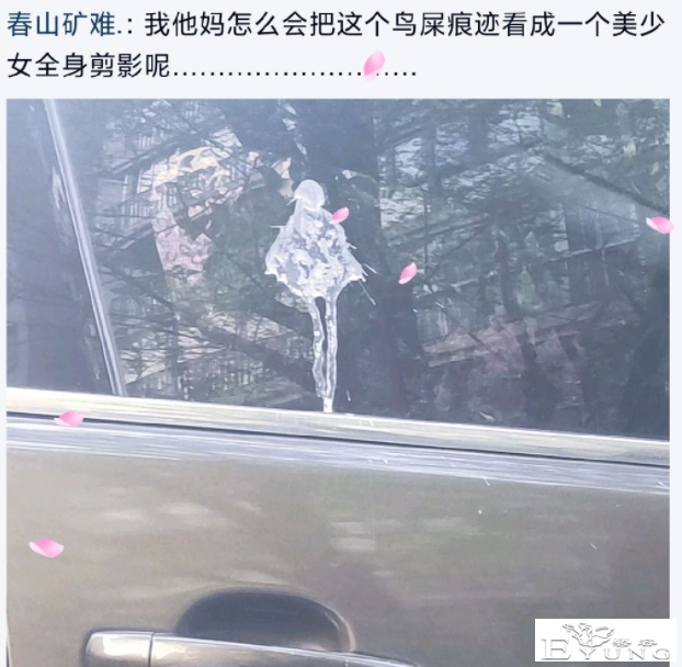 网友吐槽把鸟屎看成了美少女，我心说扯呢，结果真的好像啊-1.jpg