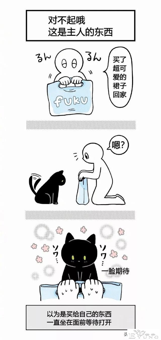 漫画《猫猫的误会》我家的猫也是经常这样的-1.jpg