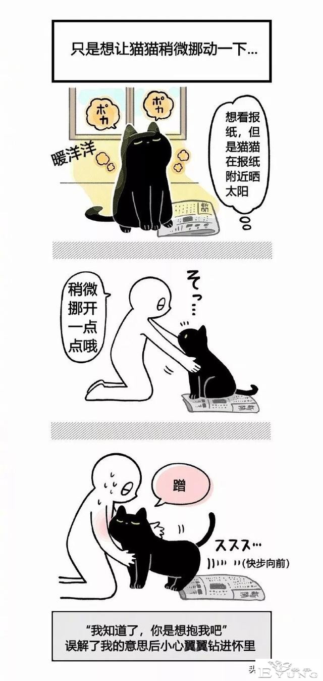 漫画《猫猫的误会》我家的猫也是经常这样的-3.jpg