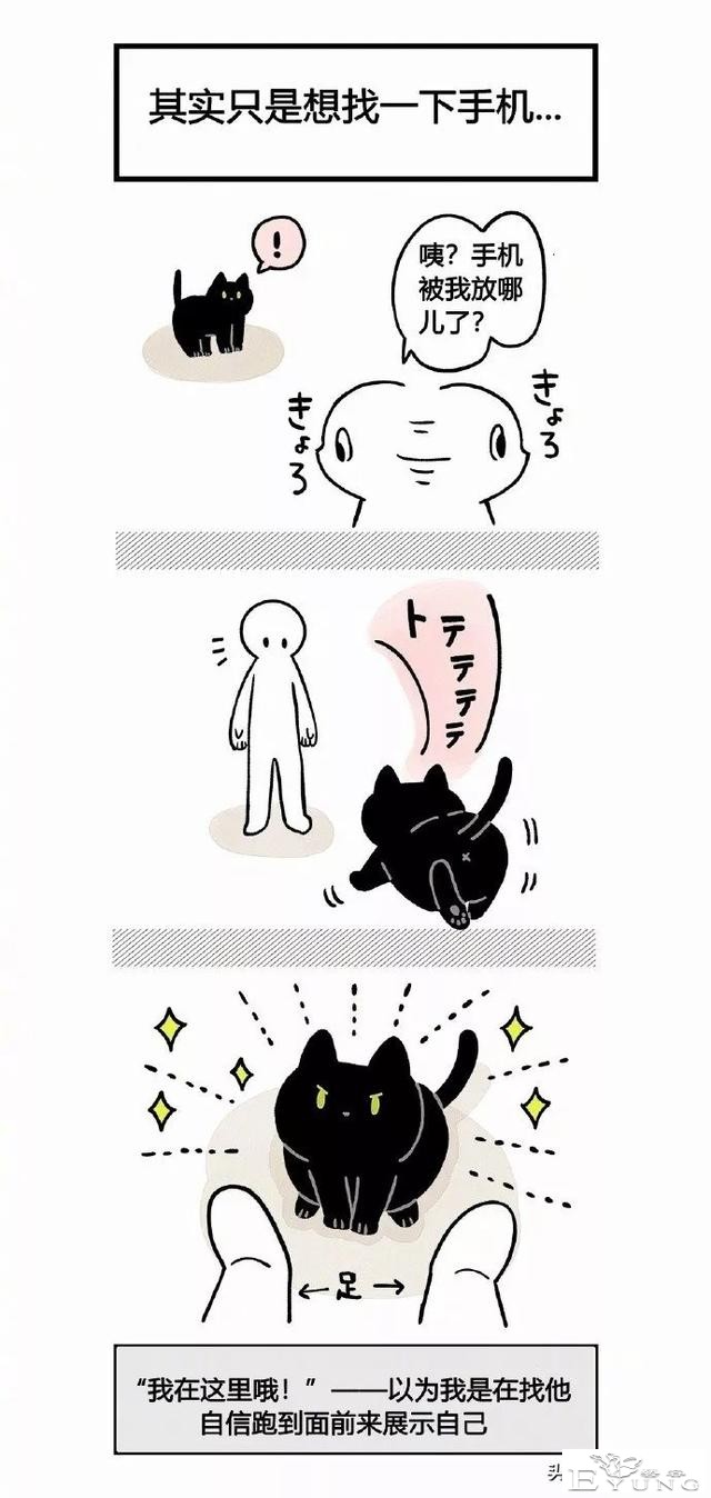 漫画《猫猫的误会》我家的猫也是经常这样的-2.jpg