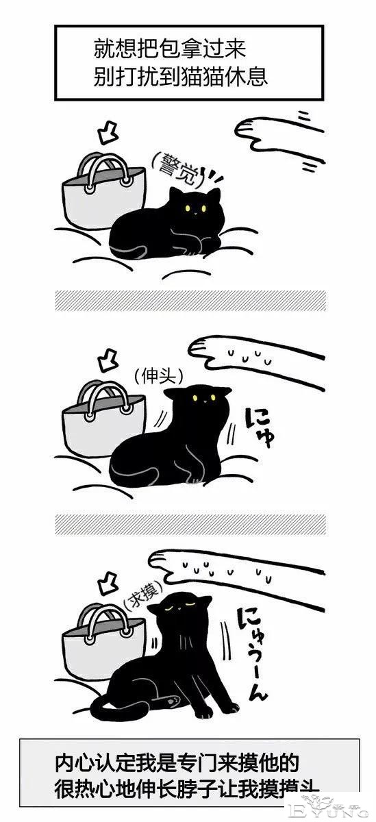 漫画《猫猫的误会》我家的猫也是经常这样的-4.jpg
