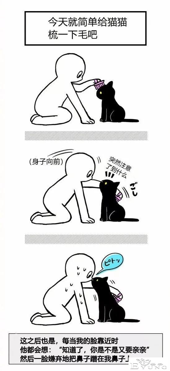 漫画《猫猫的误会》我家的猫也是经常这样的-5.jpg
