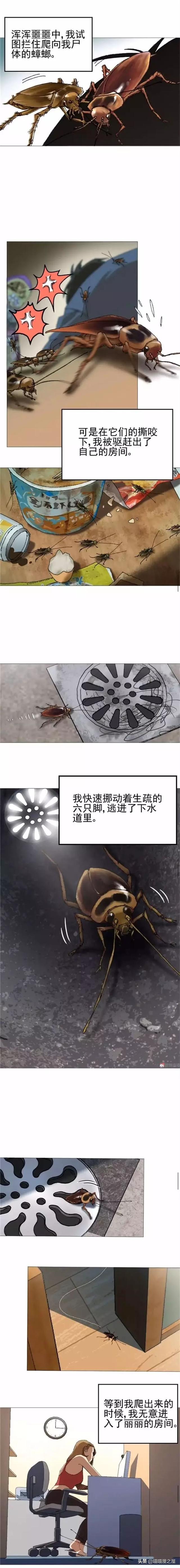 漫画：突然变成蟑螂的男人-6.jpg