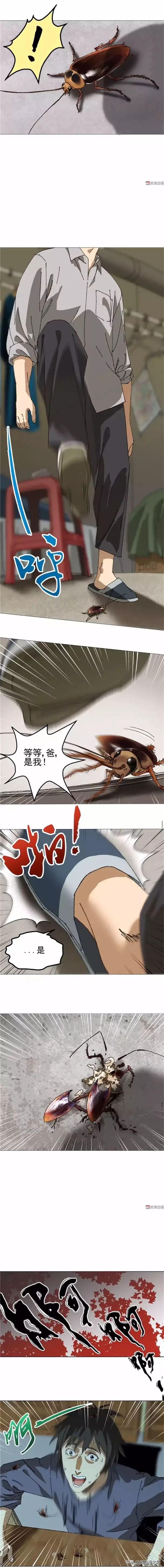 漫画：突然变成蟑螂的男人-16.jpg