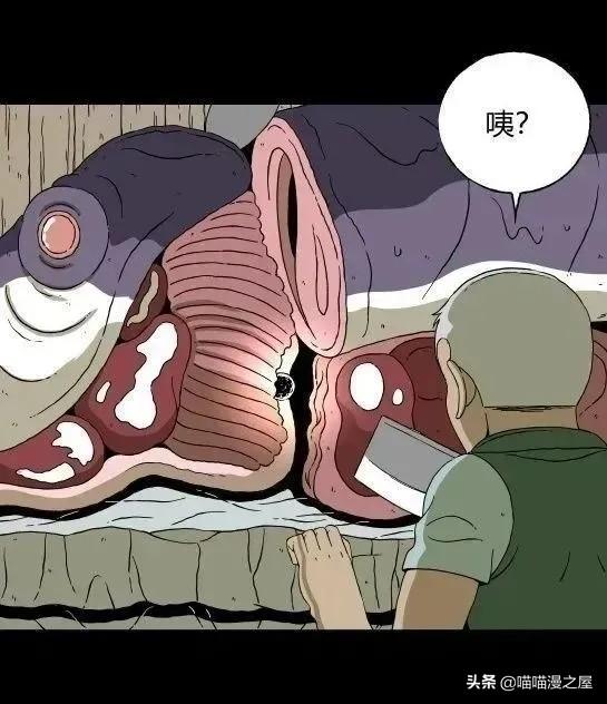 「怪谈漫画」变异的虫子-27.jpg