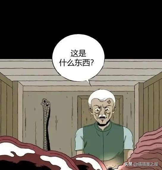 「怪谈漫画」变异的虫子-28.jpg