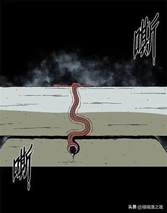 「怪谈漫画」变异的虫子-35.jpg