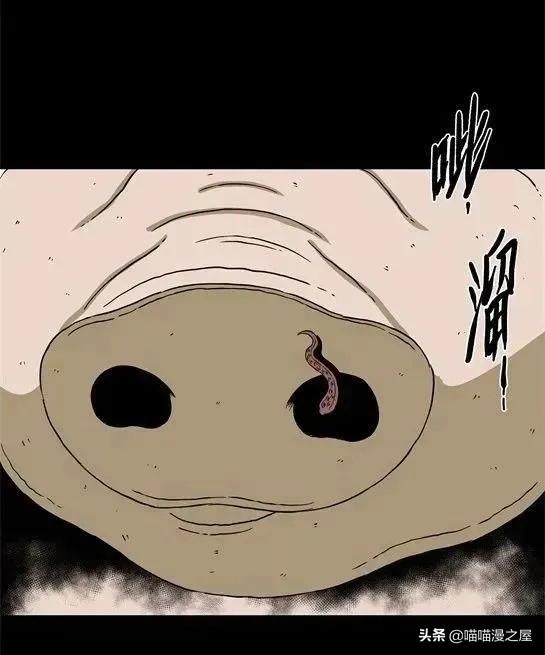 「怪谈漫画」变异的虫子-37.jpg