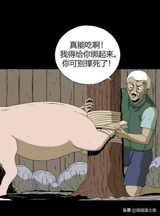「怪谈漫画」变异的虫子-42.jpg