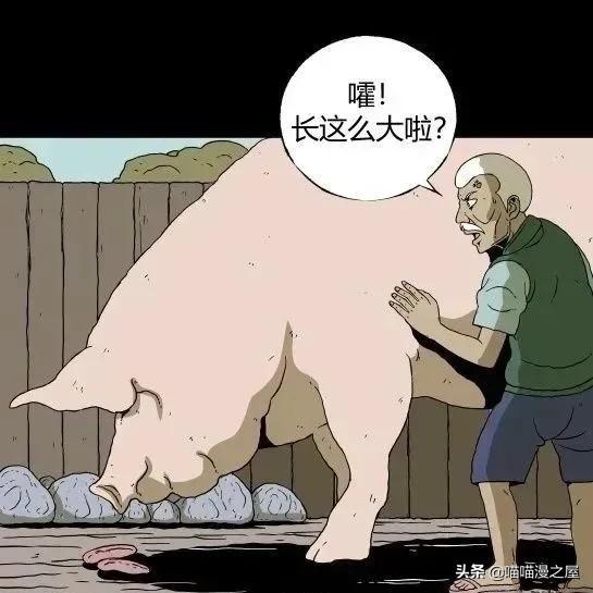 「怪谈漫画」变异的虫子-46.jpg