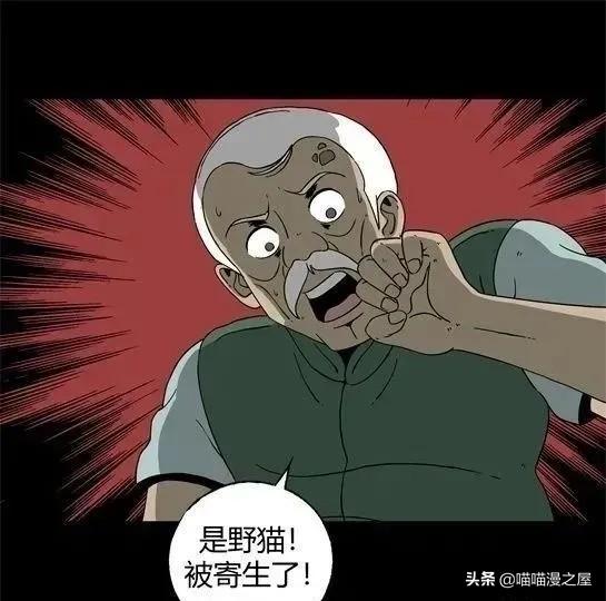 「怪谈漫画」变异的虫子-164.jpg