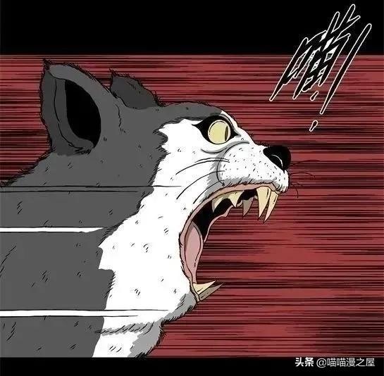 「怪谈漫画」变异的虫子-165.jpg