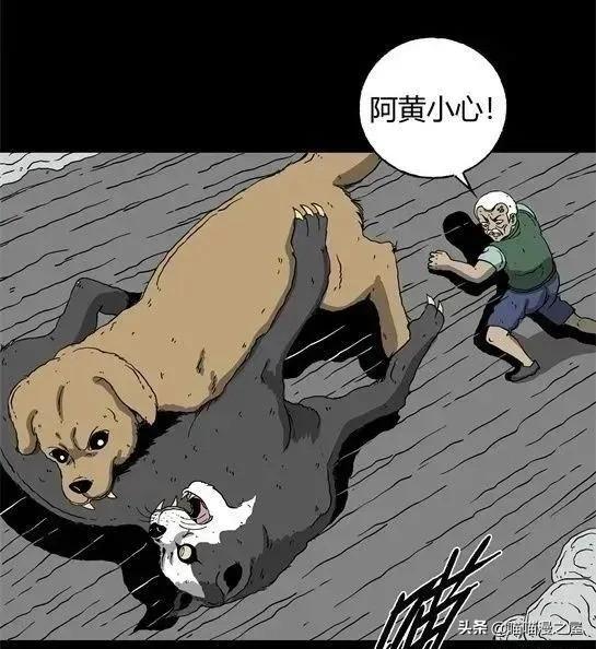 「怪谈漫画」变异的虫子-171.jpg