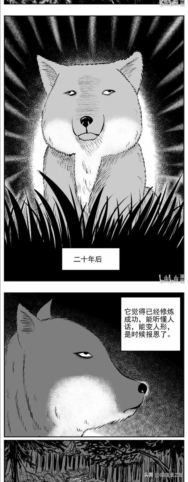 漫画《以身相许》史上最惨的狐妖-5.jpg