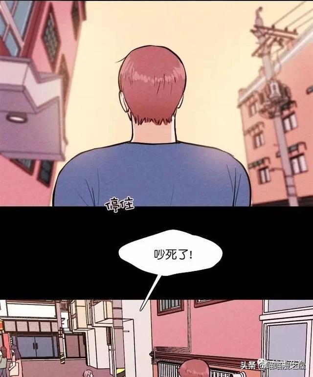 漫画：一觉醒来，捡来的鹦鹉竟变成了人...-5.jpg