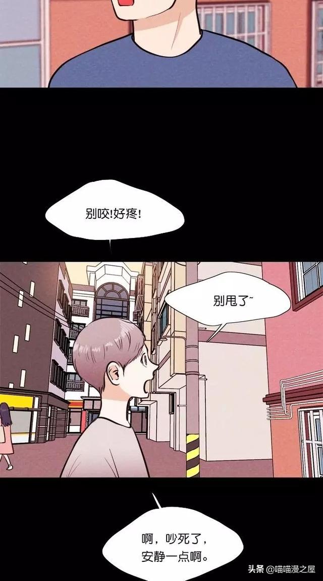 漫画：一觉醒来，捡来的鹦鹉竟变成了人...-7.jpg