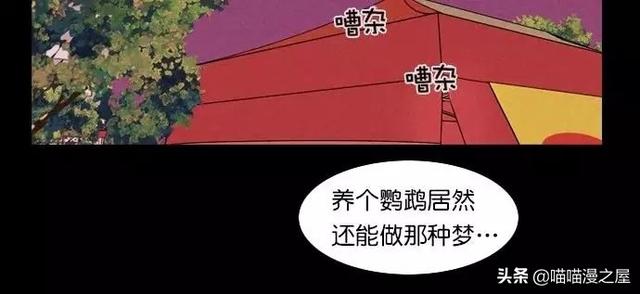 漫画：一觉醒来，捡来的鹦鹉竟变成了人...-16.jpg