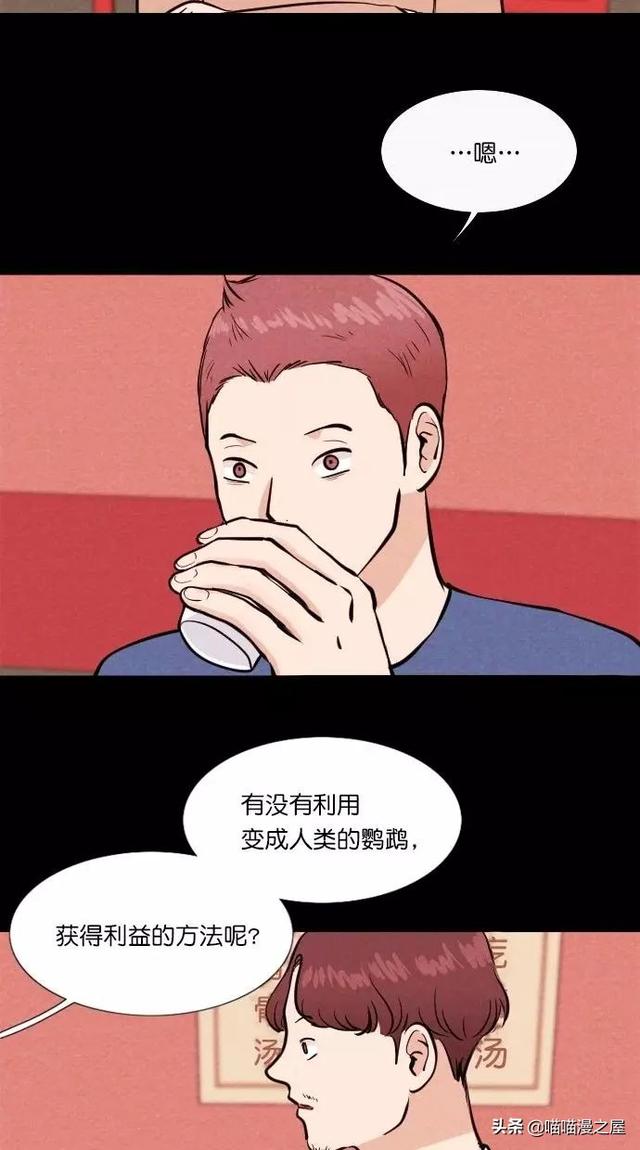 漫画：一觉醒来，捡来的鹦鹉竟变成了人...-14.jpg