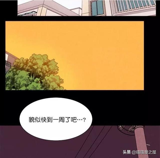 漫画：一觉醒来，捡来的鹦鹉竟变成了人...-34.jpg