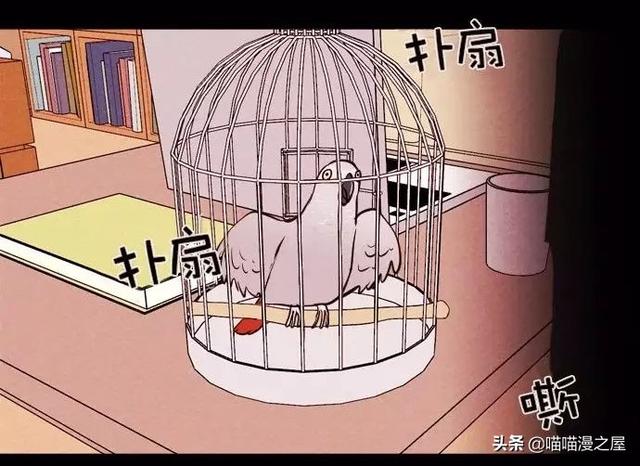 漫画：一觉醒来，捡来的鹦鹉竟变成了人...-39.jpg