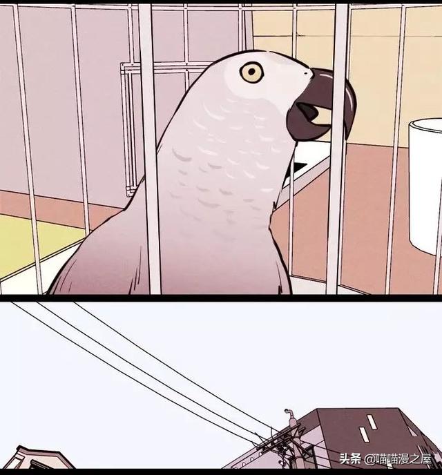 漫画：一觉醒来，捡来的鹦鹉竟变成了人...-40.jpg