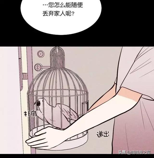 漫画：一觉醒来，捡来的鹦鹉竟变成了人...-46.jpg