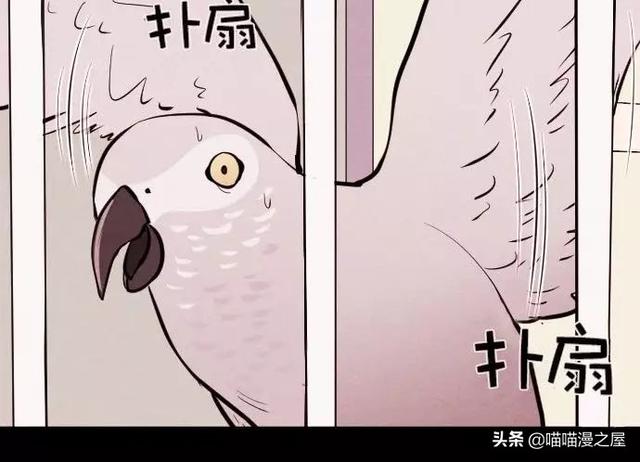 漫画：一觉醒来，捡来的鹦鹉竟变成了人...-48.jpg