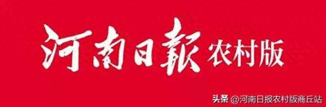 芒砀山旅游区：多彩活动庆国庆 节日氛围别样浓-1.jpg