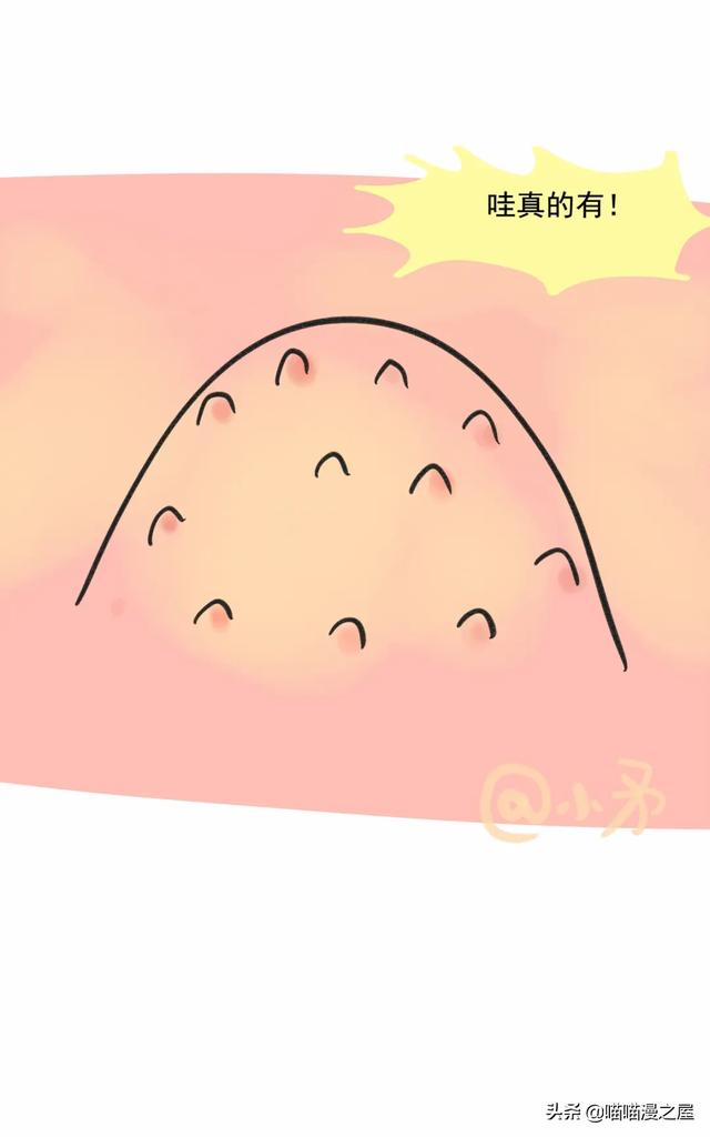 重口漫《鸡皮疙瘩》，挺无语的-8.jpg