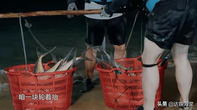 《向往6》再惹争议，嘉宾出海捕鱼大丰收，网友却质疑是道具鱼-2.jpg