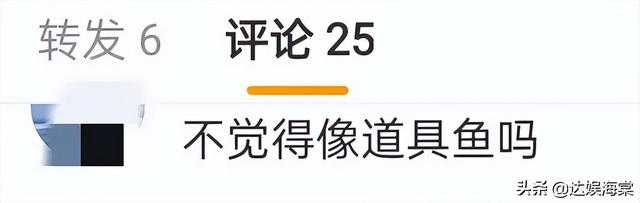 《向往6》再惹争议，嘉宾出海捕鱼大丰收，网友却质疑是道具鱼-6.jpg