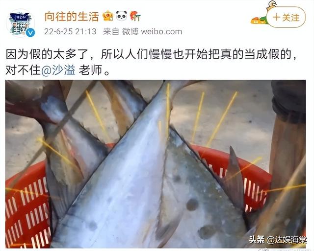 《向往6》再惹争议，嘉宾出海捕鱼大丰收，网友却质疑是道具鱼-9.jpg