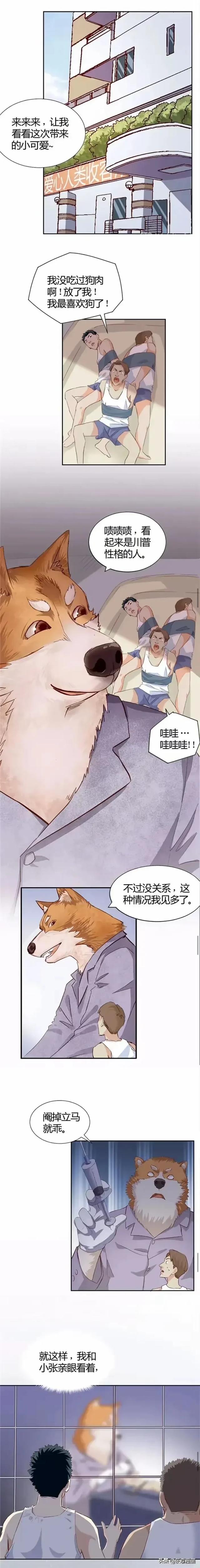 人性漫画：《饲养人生》-8.jpg