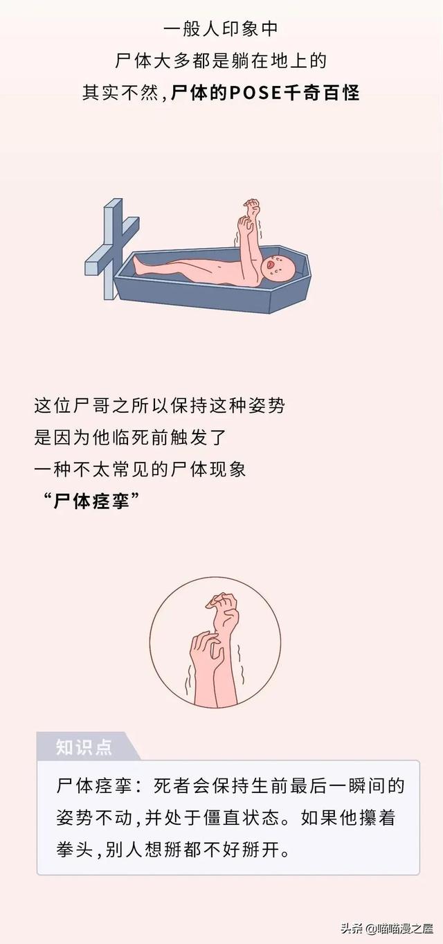 不正经科普漫画《尸体》，学会了但是没见过尸体-1.jpg