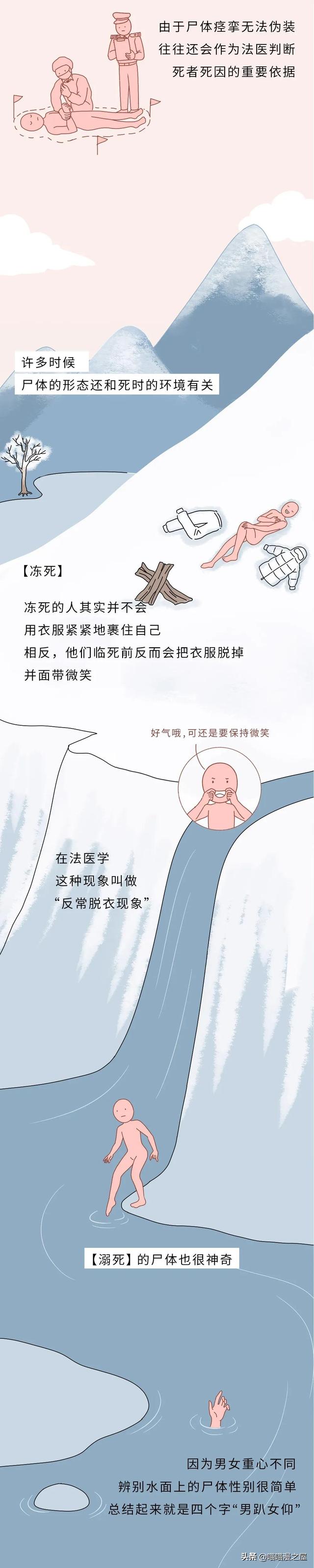 不正经科普漫画《尸体》，学会了但是没见过尸体-2.jpg