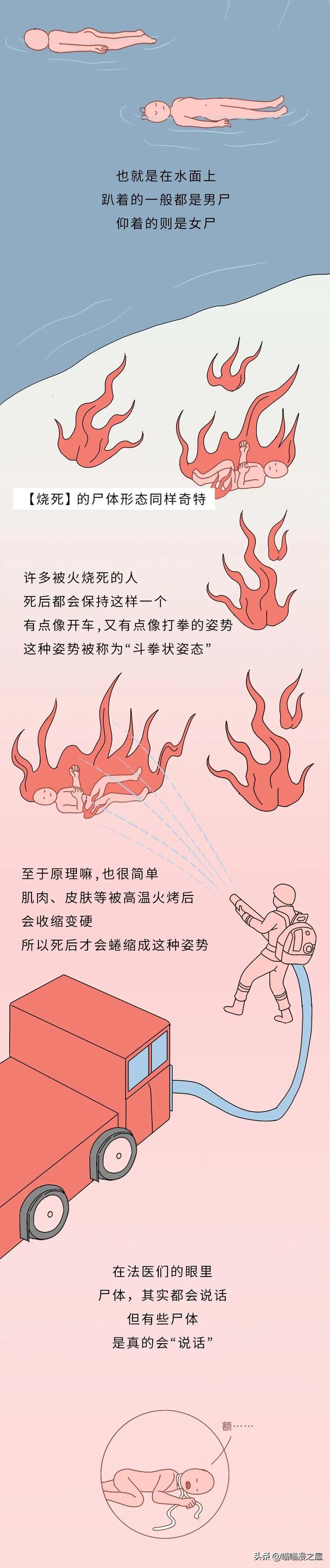 不正经科普漫画《尸体》，学会了但是没见过尸体-3.jpg