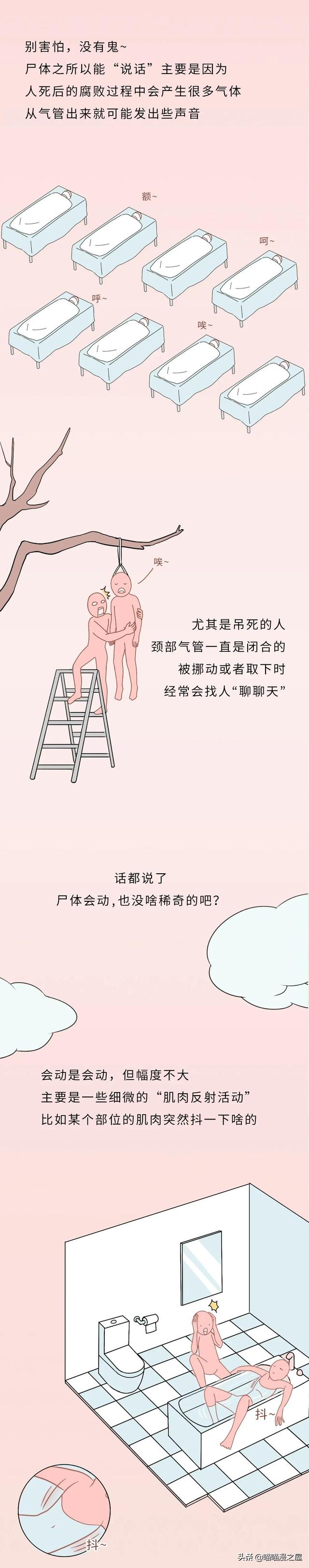不正经科普漫画《尸体》，学会了但是没见过尸体-4.jpg