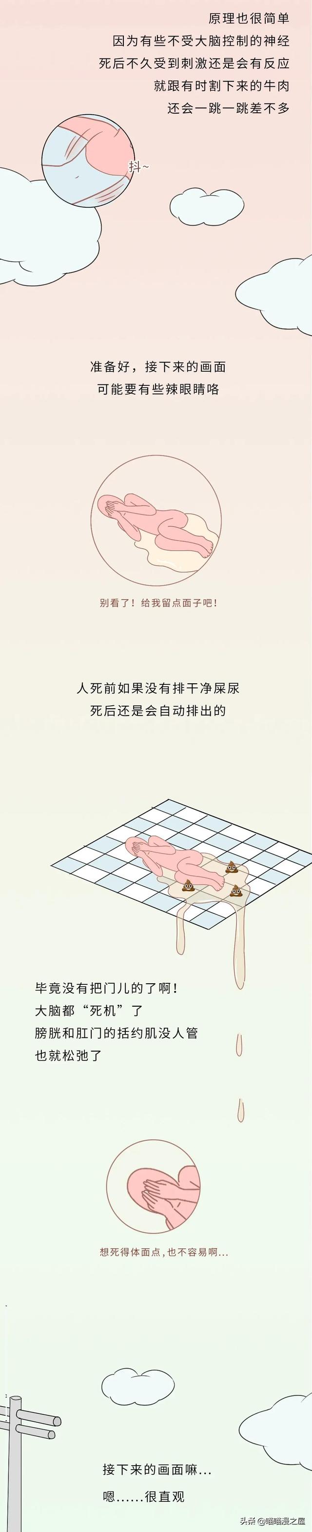 不正经科普漫画《尸体》，学会了但是没见过尸体-5.jpg