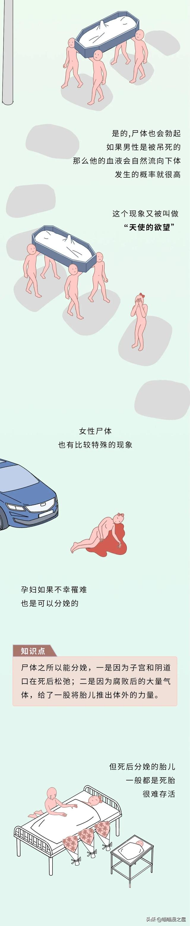 不正经科普漫画《尸体》，学会了但是没见过尸体-6.jpg