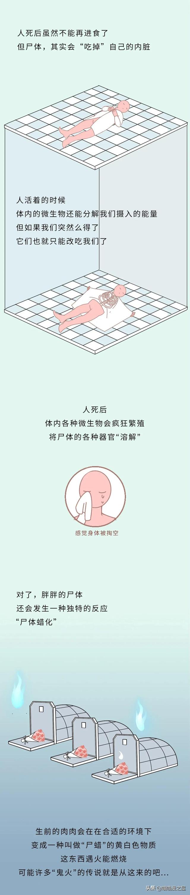 不正经科普漫画《尸体》，学会了但是没见过尸体-7.jpg