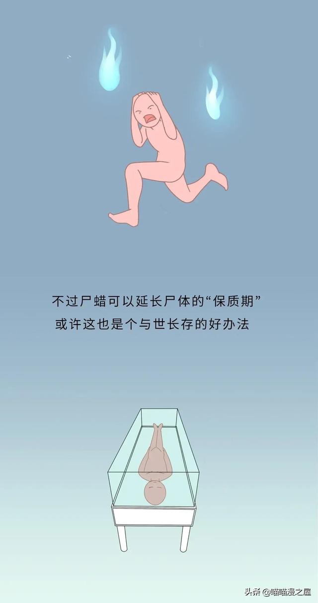 不正经科普漫画《尸体》，学会了但是没见过尸体-8.jpg