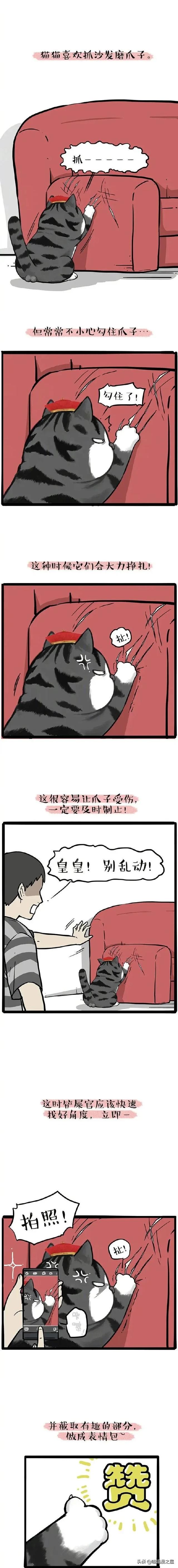 漫画《表情包》我常常因为误会被做成了表情包-1.jpg