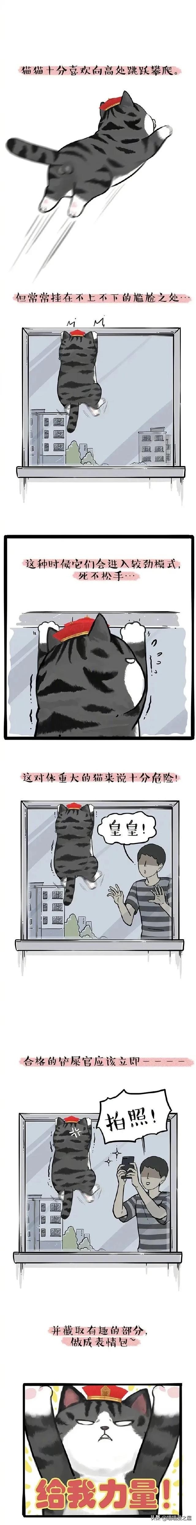 漫画《表情包》我常常因为误会被做成了表情包-2.jpg