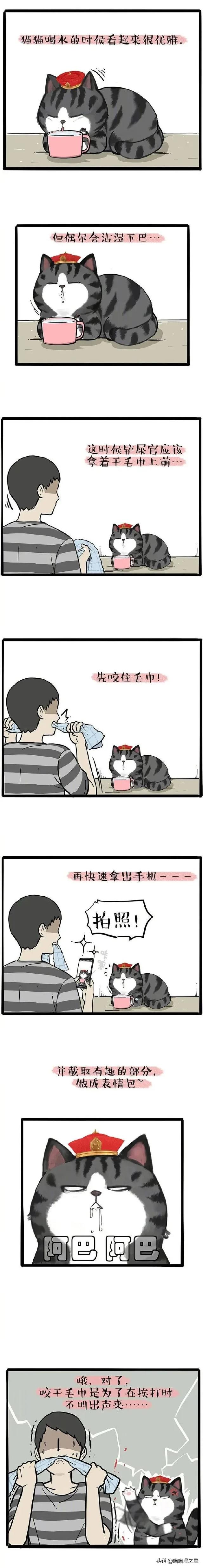 漫画《表情包》我常常因为误会被做成了表情包-4.jpg
