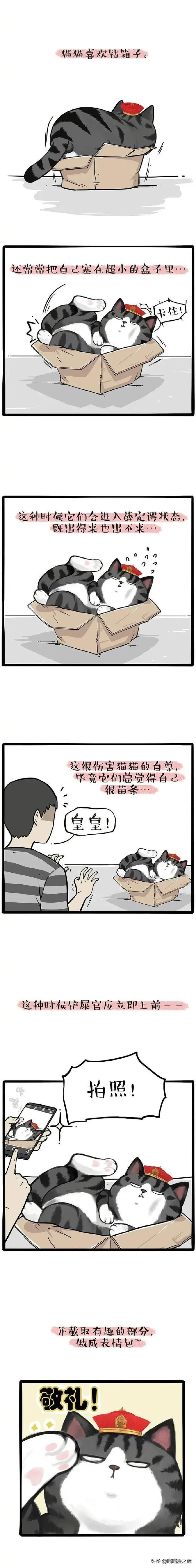 漫画《表情包》我常常因为误会被做成了表情包-3.jpg